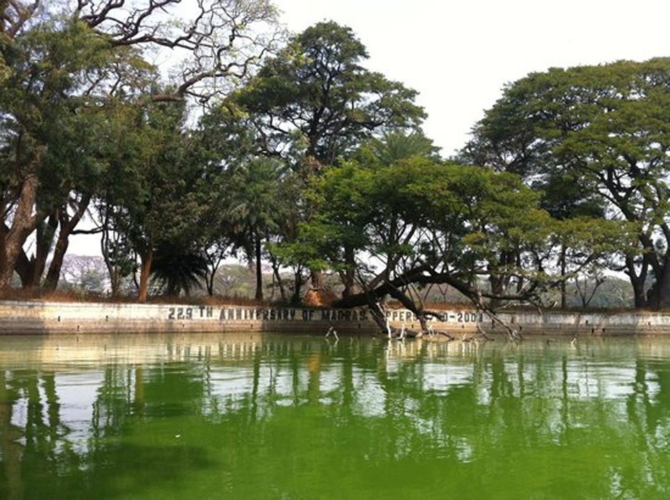 Boating at Halasuru Lake